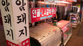 돼지 도축장·공판장 오늘 정오부터 운영, 공급 재개