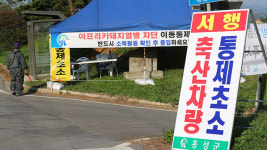 충남 홍성 도축장서 ASF ‘음성’…도축 금지 긴급 명령 해제