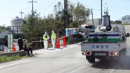 경기 김포 통진읍서 아프리카돼지열병 의심 신고