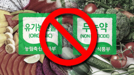 ‘친환경 농산믈인 것처럼’ 업체 11곳 적발…일부 잔류 농약도 검출