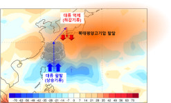 인도양 나비가 ‘태풍 떼’를 부르다