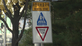 [여심야심] 우리 아이 학교 앞, 3천만 원 짜리 단속카메라 있었다면…