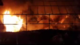 충북 진천 사슴벌레농장 불…8,200만 원 피해