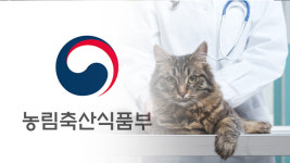 동물병원 진료비 사전 고지…수의사법 개정안 입법예고