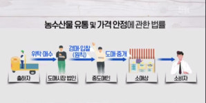 간판만 도매시장…대구 수산물 비싼 이유는?