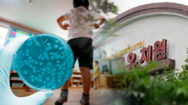 “안산 유치원 장출혈성대장균 감염증 노출 202명 중 111명 유증상”