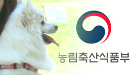 “무등록 동물 미용업소 등 동물보호법 위반 영업장 19곳 적발”