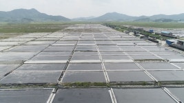 태양광 단지 될뻔한 ‘70년 역사 염전’…기사회생할까?