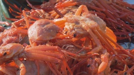 ‘30kg 4만 원’이라는 붉은대게, 소비자에겐 ‘시가’…왜?