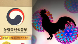 아산 곡교천·전북 부안 AI, 저병원성 확인