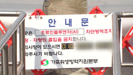 경기 이천 복하천 AI 항원 검출…고병원성 여부 확인 중