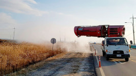 충남 아산 삽교호서 AI 항원 검출…고병원성 검사 중