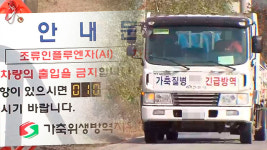 경북 상주 산란계 농장서 고병원성 AI 의심 발생…정밀 검사 중