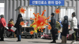 국내 코로나19 신규확진자 이틀 연속 5백 명대…서울 260명·경기 137명
