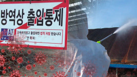 충북 음성 메추리 농장서 고병원성 AI 의심 신고…검사 중