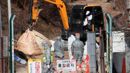 경기 여주 메추리농장서 고병원성 AI 확진…전국 7번째