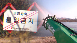 경기 화성·전북 고창 가금농장 고병원성 AI 확진