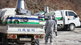 전국 축산시설 관련 종사자·차량 24시간 일시이동중지