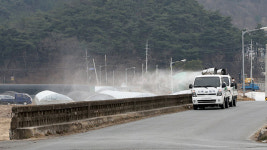전북 정읍 육용오리 농장 고병원성 AI확진 판정