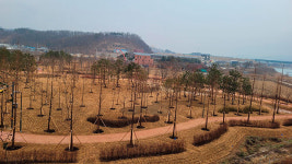 용인시, 경안천 도시숲 1단계 조성 완료…축구장 3배