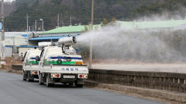 전북 고창 등 전국 농장 4곳서 고병원성 AI 의심사례…전국 일제 소독 실시