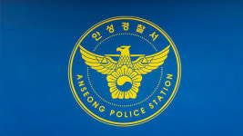 안성서 5살 딸 찌르고 자해 30대 여성 입건