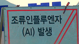경기 이천 산란계 농장서 고병원성 AI 확진