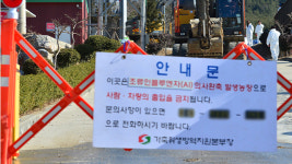 경기도 안성 산란계농장에서 고병원성 AI 확진