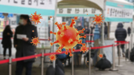 신규확진 보름 만에 다시 5백 명대로 급증…“설 연휴 급증 우려”