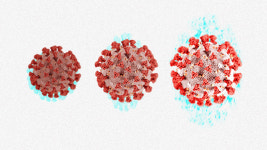 [특파원 리포트] 독일·핀란드 잇따라 발견된 새로운 변이…어쩌면 더 길어질 싸움