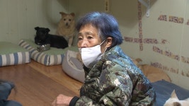 철거 유예 끝난 아지네마을…200마리 유기견 어디로 가나