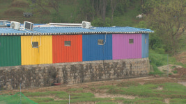 번식장서 구조된 ‘와와’…다시 내쫓기면?