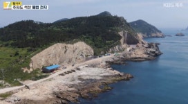 추자도 바다에 폐수 6만ℓ 배출…돈에 눈먼 업자들