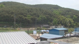 ‘따오기 부부’의 귀환…사랑속에 새 생명도 탄생