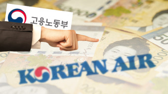 고용부, ‘직장 내 성폭력 미조치’ 대한항공에 과태료 부과