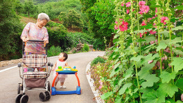 서울시, 노인보호전문기관 4개 권역 확대…7월까지 노인학대 합동점검