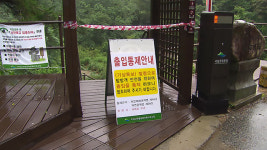내륙지방 호우에 대구-인천 항공편 결항…국립공원 통행 제한
