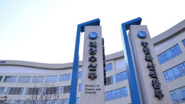 수산생물 병원체 관리 강화…“앞으로 수입 후에도 확인”