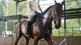 뚝섬승마원, 폐쇄 7년 만에 14일부터 임시개방…예약제 관람 실시