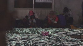 항운노조 기획④ 비린내 나는 어시장서 쭈그리고 8시간…부녀반 “최저임금이라도”