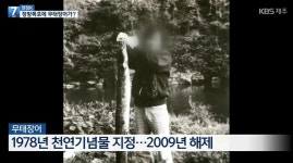 제주 정방폭포에서 첫 발견 ‘무태장어’에 학계가 흥분한 이유