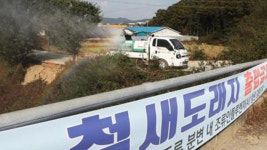 ‘고병원성 조류인플루엔자 확산 차단’ 전국 48시간 이동중지