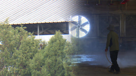 충북 음성 육계농장에서 고병원성 AI 확진