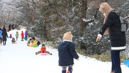 제주 모레까지 많은 눈…산지 최대 50㎝ 예고