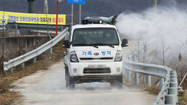 전남 영암 오리 농장서 고병원성 AI 확진