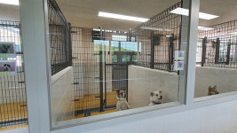 농식품부, 전국 동물보호센터 운영 실태 점검