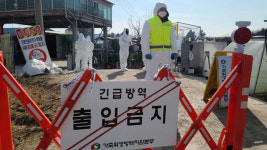 전북 김제 모 종오리 농장 고병원성 조류인플루엔자 확진