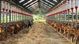 “‘공급과잉’ 한우 2년 내 가격 급락할 수도…수급 조절 필요”