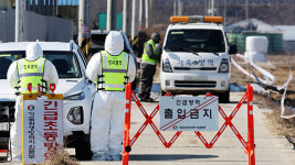 경기 평택 산란계 농장·전북 정읍 육계 농장서 잇따라 고병원성 조류인플루엔자 확진
