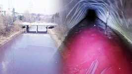 평택시, 포승산단 배수로에 붉은 폐수 버린 업체 수사의뢰